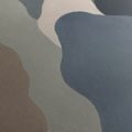 TABLEAU SUR TOILE – FORMES ORGANIQUES AUX COULEURS SOURDES - IMAGES FORMES ABSTRAITES - TABLEAUX