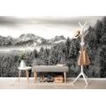 SELF ADHESIVE WALL MURAL BLACK AND WHITE FROZEN MOUNTAINS - SELF-ADHESIVE WALLPAPERS - WALLPAPERS