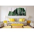 5-PIECE CANVAS PRINT MONSTERA LEAF - STILL LIFE PICTURES - PICTURES