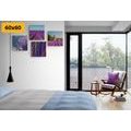 CANVAS PRINT SET LAVENDER FIELDS WITH BEAUTIFUL ABSTRACTION - SET OF PICTURES - PICTURES