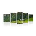 5-PIECE CANVAS PRINT FAIRY-TALE COTTAGES BY THE RIVER - PICTURES OF NATURE AND LANDSCAPE - PICTURES