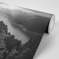 SELF ADHESIVE WALL MURAL RIVER IN THE MIDDLE OF THE FOREST IN BLACK AND WHITE - SELF-ADHESIVE WALLPAPERS - WALLPAPERS