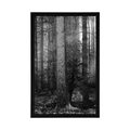 POSTER SECRET OF THE FOREST IN BLACK AND WHITE - BLACK AND WHITE - POSTERS