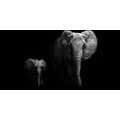 TABLOU ELEFANT MIC SI ELEFANT FEMININ - TABLOURI ALB-NEGRU - TABLOURI