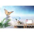 WALLPAPER BALANCE OF STONES WITH A BUTTERFLY - WALLPAPERS FENG SHUI - WALLPAPERS