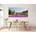 CANVAS PRINT PROVENCE WITH LAVENDER FIELDS - PICTURES OF CITIES - PICTURES