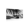CANVAS PRINT SUNGLASSES ON A SEASHELL IN BLACK AND WHITE - BLACK AND WHITE PICTURES{% if product.category.pathNames[0] != product.category.name %} - PICTURES{% endif %}