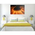 CANVAS PRINT GERBERA ON A DARK BACKGROUND - PICTURES FLOWERS - PICTURES