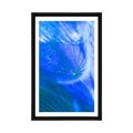 POSTER WITH MOUNT BEAUTIFUL DANDELION IN BLUE DESIGN - FLOWERS - POSTERS