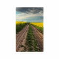 POSTER SUNSET OVER A FIELD IN SLOVAKIA - NATURE - POSTERS