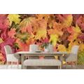 WALL MURAL AUTUMN LEAVES - WALLPAPERS NATURE - WALLPAPERS