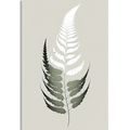 CANVAS PRINT MINIMALIST FERN LEAF - PICTURES OF TREES AND LEAVES - PICTURES