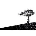 SELF ADHESIVE WALLPAPER TREE SILHOUETTE - SELF-ADHESIVE WALLPAPERS - WALLPAPERS