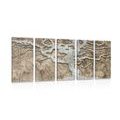 5-PIECE CANVAS PRINT ABSTRACT TREE ON WOOD IN BEIGE DESIGN - PICTURES OF TREES AND LEAVES - PICTURES