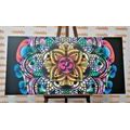 CANVAS PRINT MANDALA OF HEALTH - PICTURES FENG SHUI - PICTURES