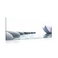 CANVAS PRINT LOTUS FLOWER AND ZEN STONES - PICTURES FENG SHUI - PICTURES