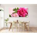 CANVAS PRINT PEONIES IN PINK - PICTURES FLOWERS - PICTURES