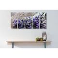 5-PIECE CANVAS PRINT LAVENDER BOUQUET - PICTURES FLOWERS - PICTURES