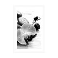 POSTER WITH MOUNT MAGICAL INTERPLAY OF STONES AND ORCHIDS IN BLACK AND WHITE - BLACK AND WHITE - POSTERS