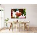 CANVAS PRINT MEADOW OF TULIPS IN RETRO STYLE - PICTURES FLOWERS - PICTURES