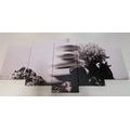 5-PIECE CANVAS PRINT ZEN STONES WITH SEASHELLS IN BLACK AND WHITE - BLACK AND WHITE PICTURES - PICTURES