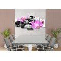5-PIECE CANVAS PRINT BEAUTIFUL INTERPLAY OF STONES AND ORCHIDS - PICTURES FENG SHUI - PICTURES