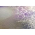 CANVAS PRINT DETAILED VIEW OF A DANDELION - PICTURES FLOWERS - PICTURES