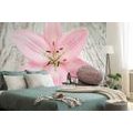 SELF ADHESIVE WALL MURAL PINK LILY AND ZEN STONES - SELF-ADHESIVE WALLPAPERS - WALLPAPERS