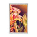 POSTER BEAUTIFUL BLOOMING FLOWERS IN THE GARDEN - FLOWERS - POSTERS