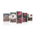 5-PIECE CANVAS PRINT FLORAL VINTAGE - PICTURES FLOWERS - PICTURES