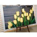 CANVAS PRINT CHARMING YELLOW TULIPS ON A WOODEN BACKGROUND - PICTURES FLOWERS - PICTURES