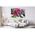 CANVAS PRINT BLOOMING ORCHID AND WELLNESS STONES - PICTURES FENG SHUI - PICTURES