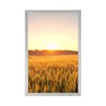 AFFICHE COUCHER DE SOLEIL SUR LE TERRAIN - NATURE - AFFICHES