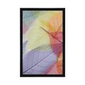 POSTER VEINS ON COLORED LEAVES - NATURE - POSTERS