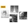 CANVAS PRINT SET MYSTERIOUS WOLF IN BLACK AND WHITE - SET OF PICTURES - PICTURES