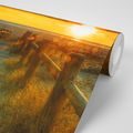 SELF ADHESIVE WALL MURAL FASCINATING SUNSET - SELF-ADHESIVE WALLPAPERS - WALLPAPERS