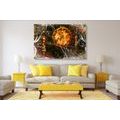 IMPRESSION SUR TOILE SOLEIL AFRICAIN - IMPRESSIONS ABSTRAITES SUR TOILE - IMPRESSION SUR TOILE