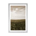 AFFICHE – PRAIRIE AVEC TOUCHE VINTAGE - NATURE - AFFICHES