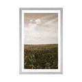 POSTER MIT PASSEPARTOUT WIESE MIT VINTAGE-TOUCH - NATUR - POSTER