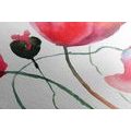 CANVAS PRINT UNIQUE POPPY FLOWERS - PICTURES FLOWERS - PICTURES