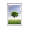 POSTER MIT PASSEPARTOUT ALLEINSTEHENDER BAUM AUF DER WIESE - NATUR - POSTER