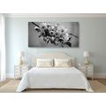 CANVAS PRINT BLOSSOMING CHERRY BRANCH IN BLACK AND WHITE - BLACK AND WHITE PICTURES - PICTURES