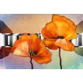 CANVAS PRINT ORANGE POPPY FLOWERS IN ORIENTAL STYLE - PICTURES FLOWERS - PICTURES