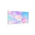 CANVAS PRINT CHRYSANTHEMUM FLOWER - PICTURES FLOWERS - PICTURES