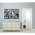 CANVAS PRINT BLACK AND WHITE BIRDS AND FLOWERS IN A VINTAGE DESIGN - BLACK AND WHITE PICTURES - PICTURES