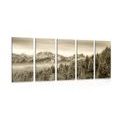 5-PIECE CANVAS PRINT FROZEN MOUNTAINS IN SEPIA - BLACK AND WHITE PICTURES - PICTURES