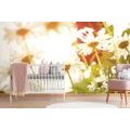 SELF ADHESIVE WALL MURAL MAGICAL DAISIES - SELF-ADHESIVE WALLPAPERS - WALLPAPERS