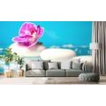 SELF ADHESIVE WALL MURAL ORCHID AND ZEN STONES - SELF-ADHESIVE WALLPAPERS - WALLPAPERS