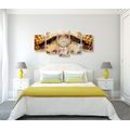 5-PIECE CANVAS PRINT INDIAN DREAM CATCHER - PICTURES FENG SHUI - PICTURES
