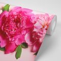 PAPIER PEINT PIVOINES EN ROSE - PAPIER PEINT FLEURS - PAPIER PEINT